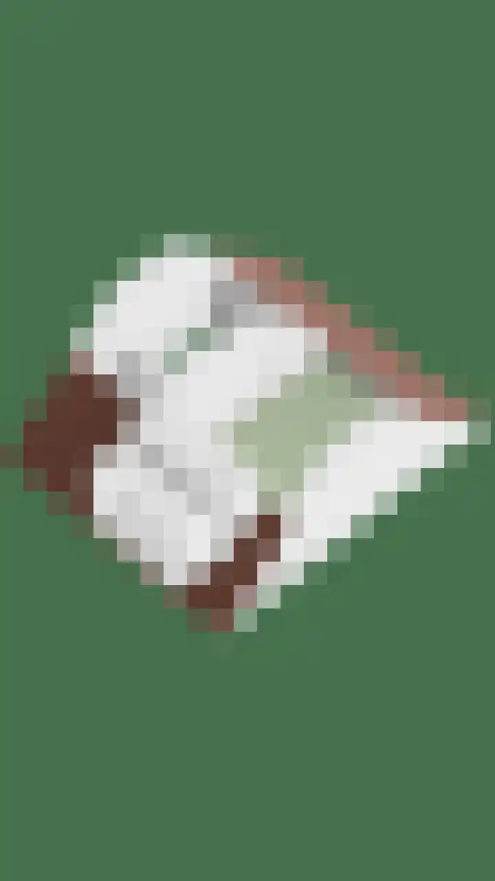Weth. Veldwachterhof 11 Diepenveen thumbnail 41