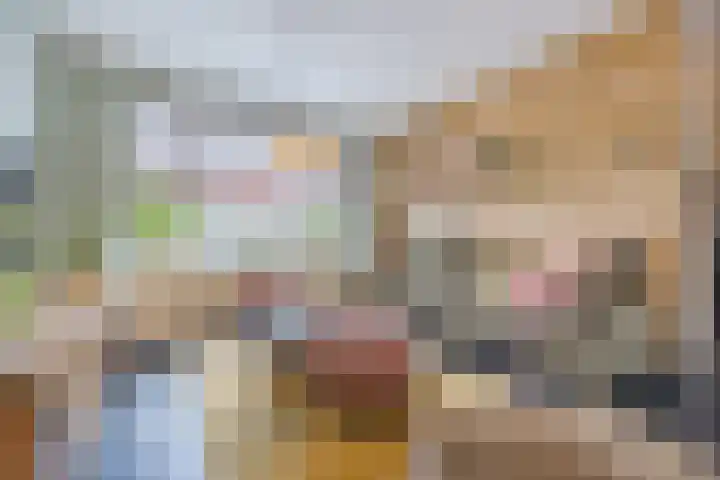 Weth. Verholenstraat 9 Oud Gastel thumbnail 18