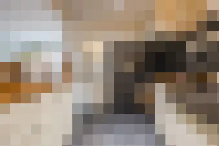 Weth. Verholenstraat 9 Oud Gastel thumbnail 30