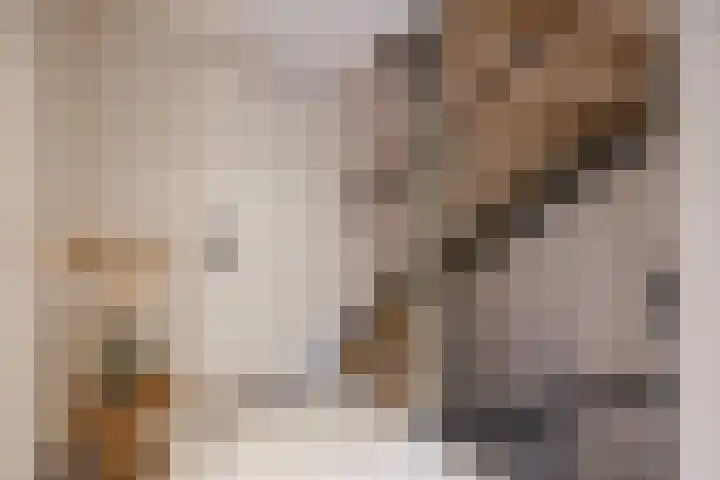 Weth. Verholenstraat 9 Oud Gastel thumbnail 39