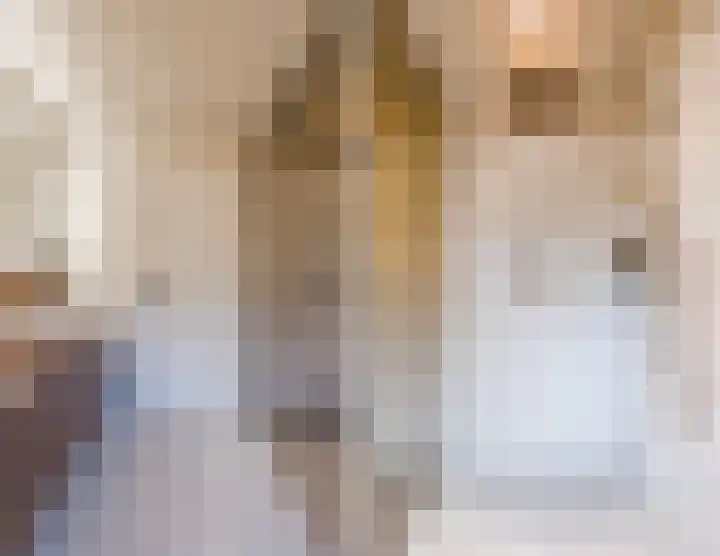 Weth. Verholenstraat 9 Oud Gastel thumbnail 47