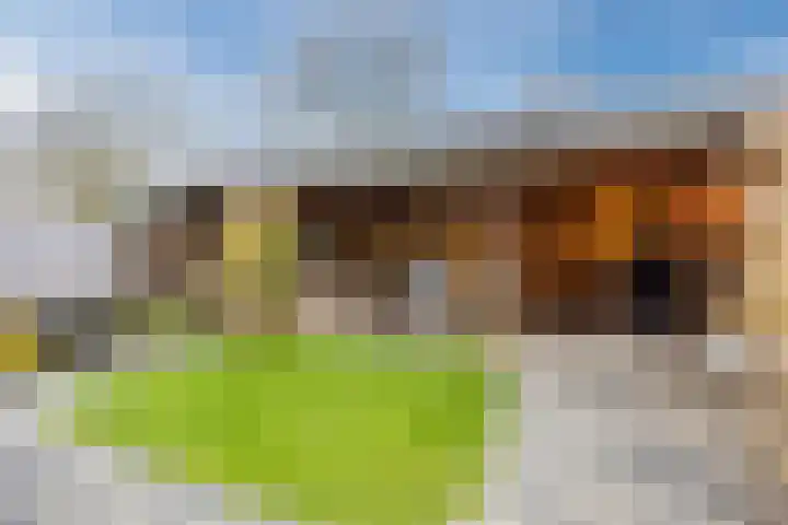 Weth. Verholenstraat 9 Oud Gastel thumbnail 57