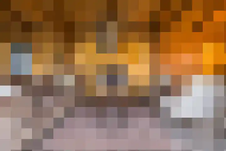 Weth. Verholenstraat 9 Oud Gastel thumbnail 59
