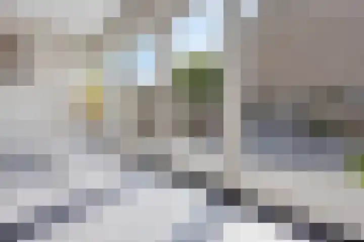 Weth. Vosstraat 18 Wanneperveen thumbnail 10