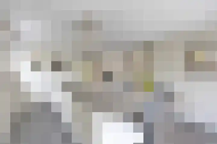 Weth. Vosstraat 18 Wanneperveen thumbnail 11