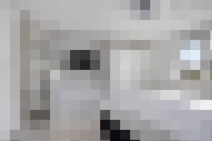 Weth. Vosstraat 18 Wanneperveen thumbnail 16