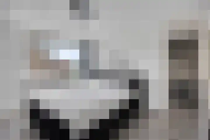 Weth. Vosstraat 18 Wanneperveen thumbnail 17
