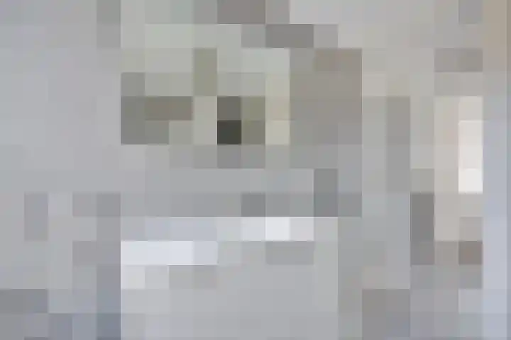 Weth. Vosstraat 18 Wanneperveen thumbnail 23