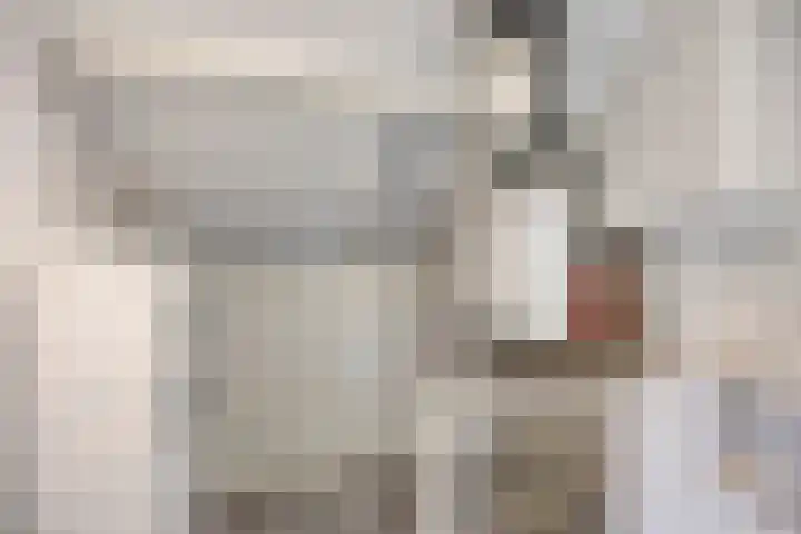 Weth. Vosstraat 18 Wanneperveen thumbnail 24