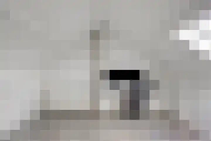 Weth. Vosstraat 18 Wanneperveen thumbnail 26