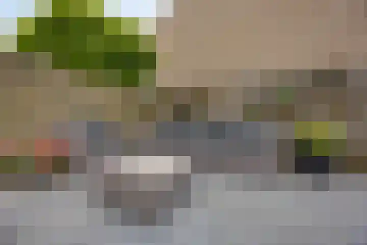 Weth. Vosstraat 18 Wanneperveen thumbnail 29