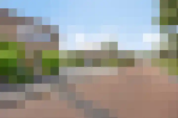 Weth. Vosstraat 18 Wanneperveen thumbnail 33