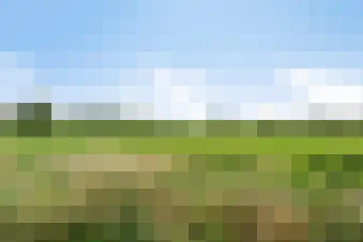 Weth. Vosstraat 18 Wanneperveen thumbnail 38