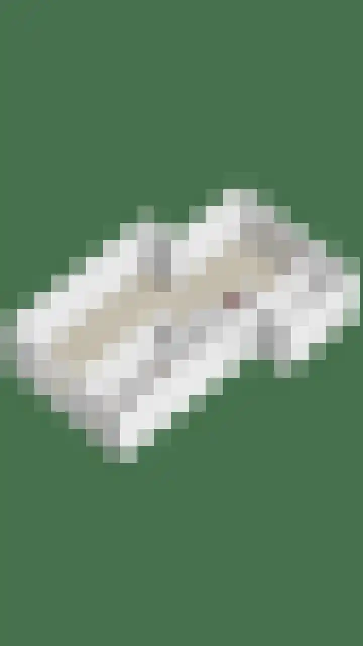 Weth. Vosstraat 18 Wanneperveen thumbnail 40