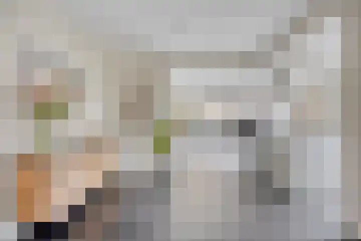 Weth. Vosstraat 18 Wanneperveen thumbnail 5
