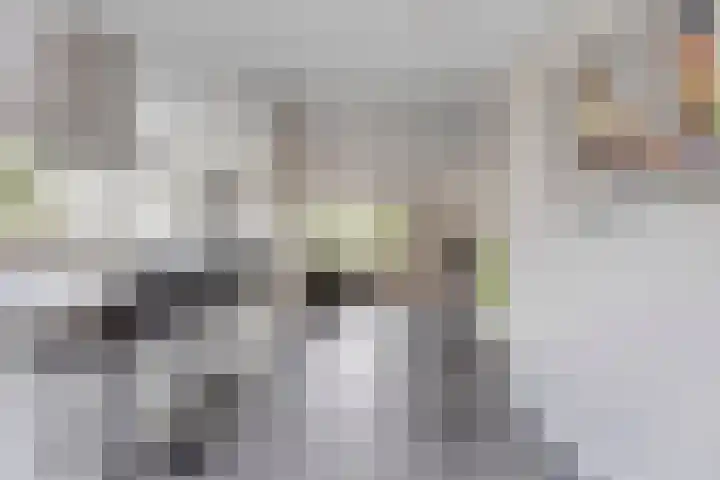 Weth. Vosstraat 18 Wanneperveen thumbnail 6