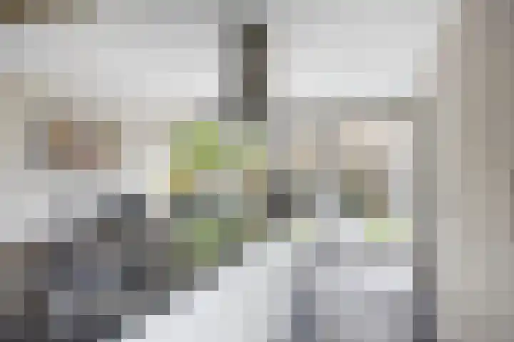 Weth. Vosstraat 18 Wanneperveen thumbnail 8