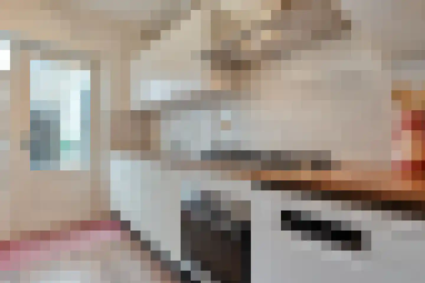 Weth. Vosstraat 8 Wanneperveen thumbnail 11