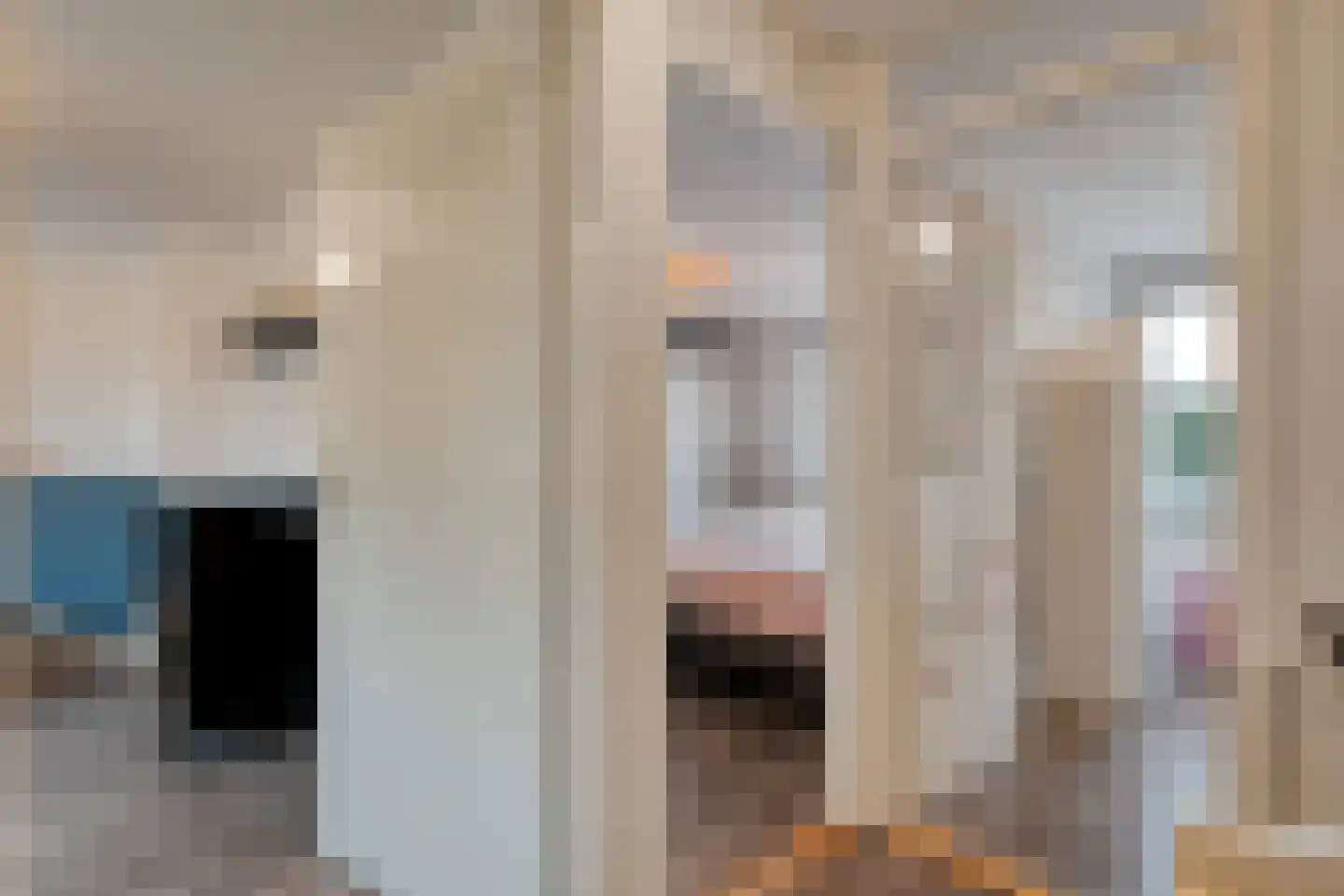 Weth. Vosstraat 8 Wanneperveen thumbnail 16