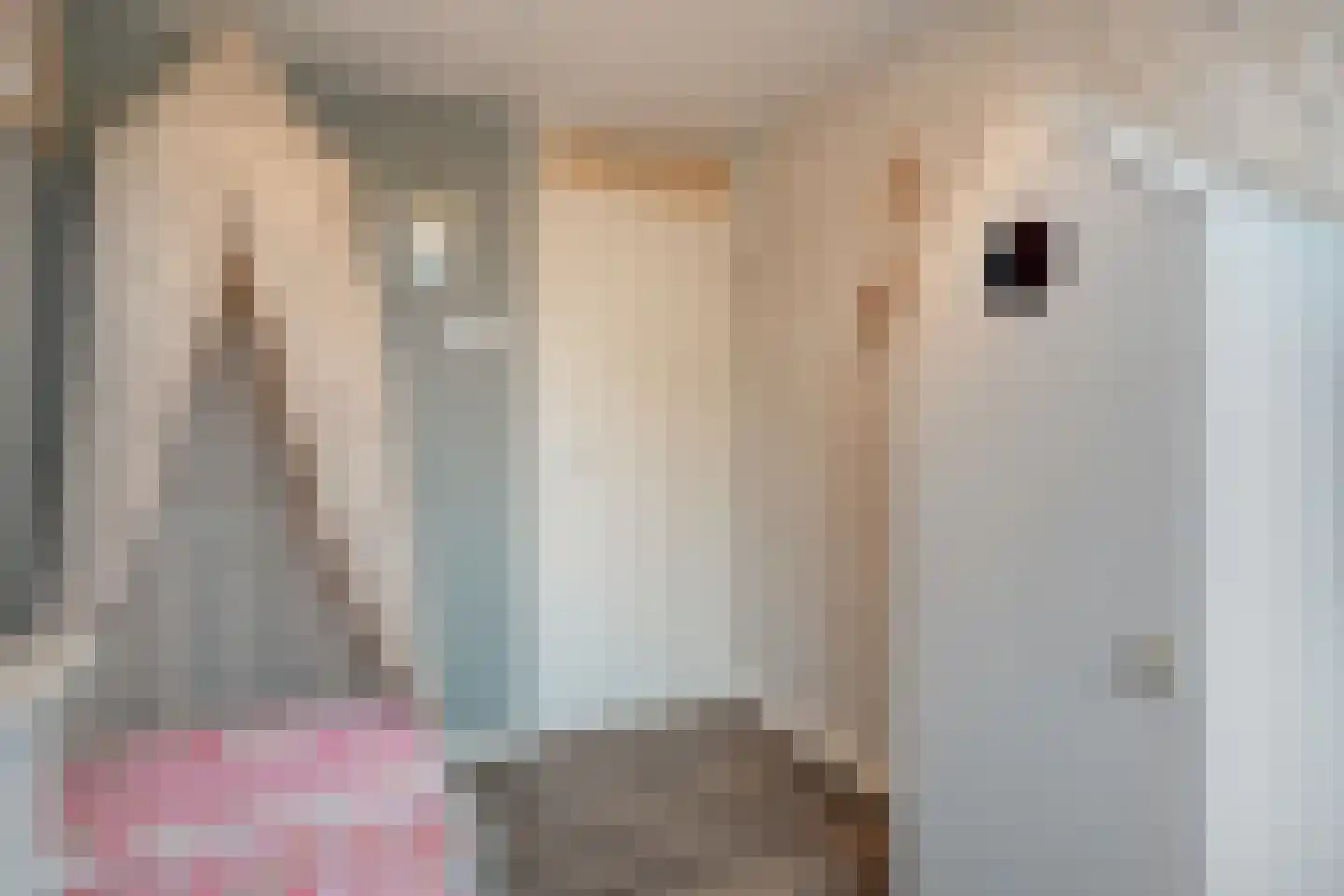 Weth. Vosstraat 8 Wanneperveen thumbnail 20