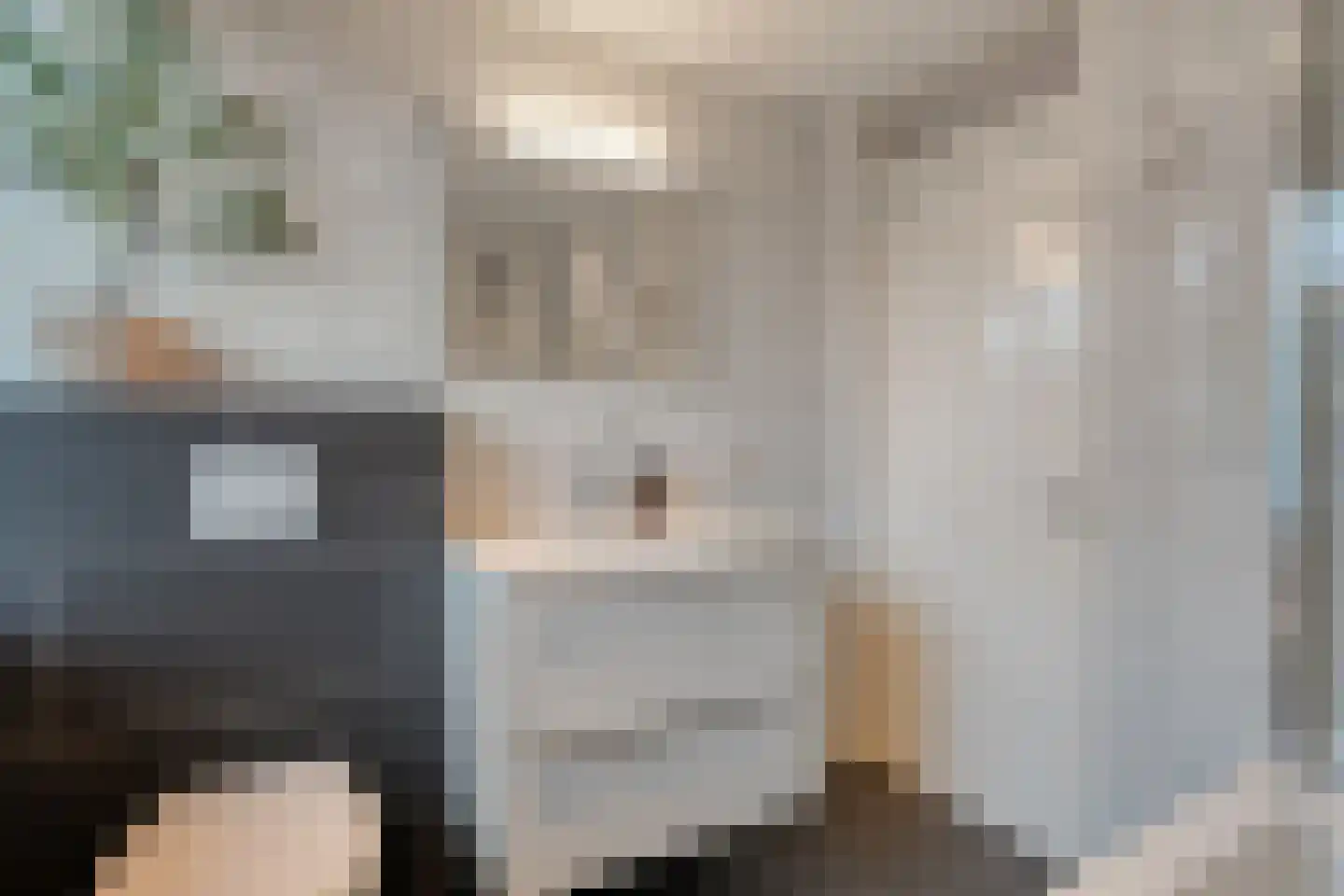 Weth. Vosstraat 8 Wanneperveen thumbnail 26