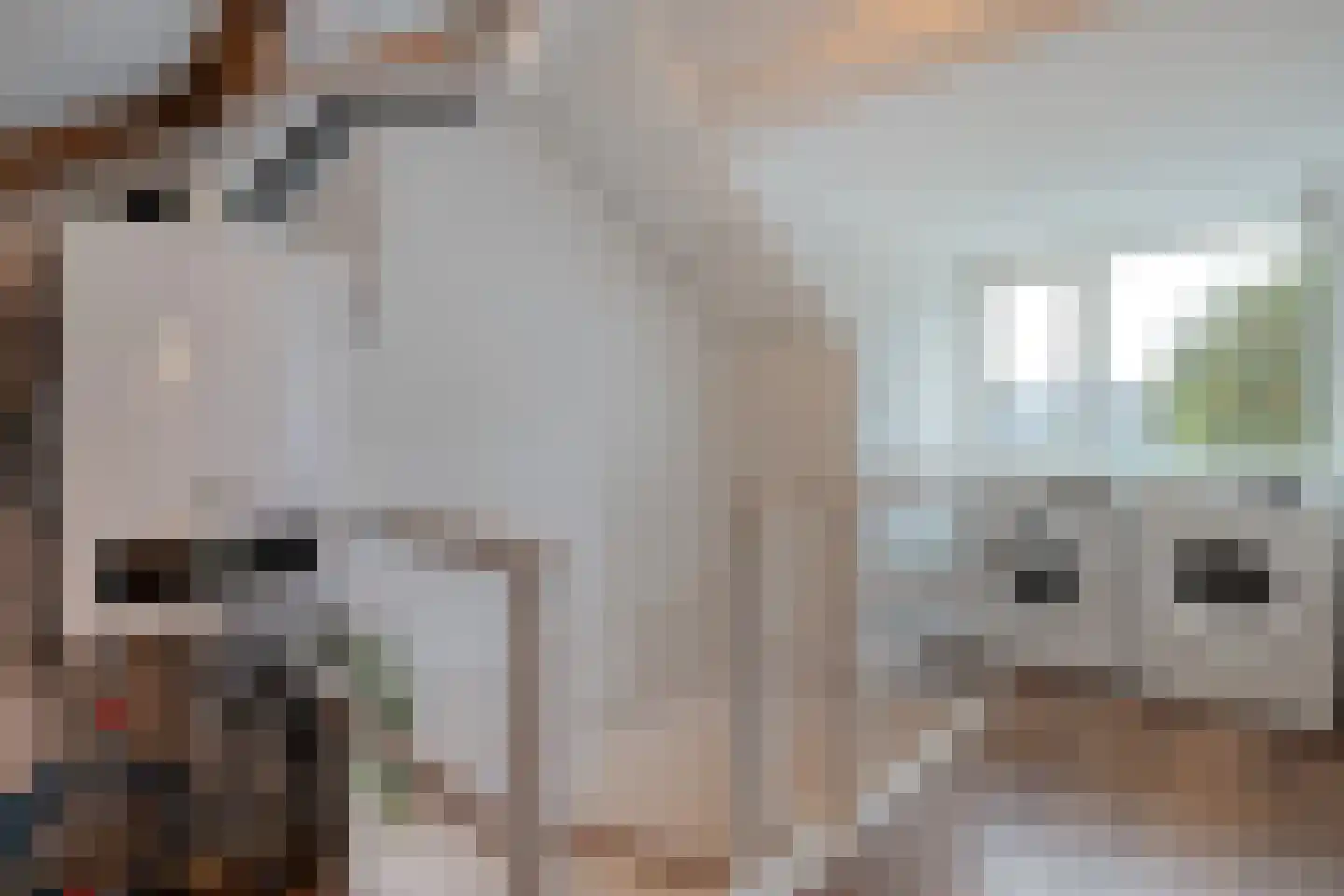 Weth. Vosstraat 8 Wanneperveen thumbnail 27