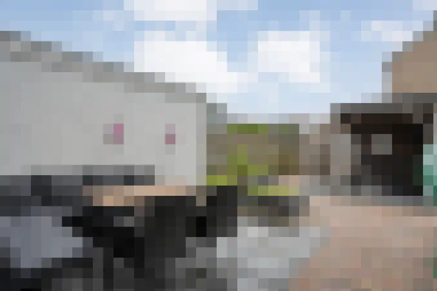 Weth. Vosstraat 8 Wanneperveen thumbnail 34