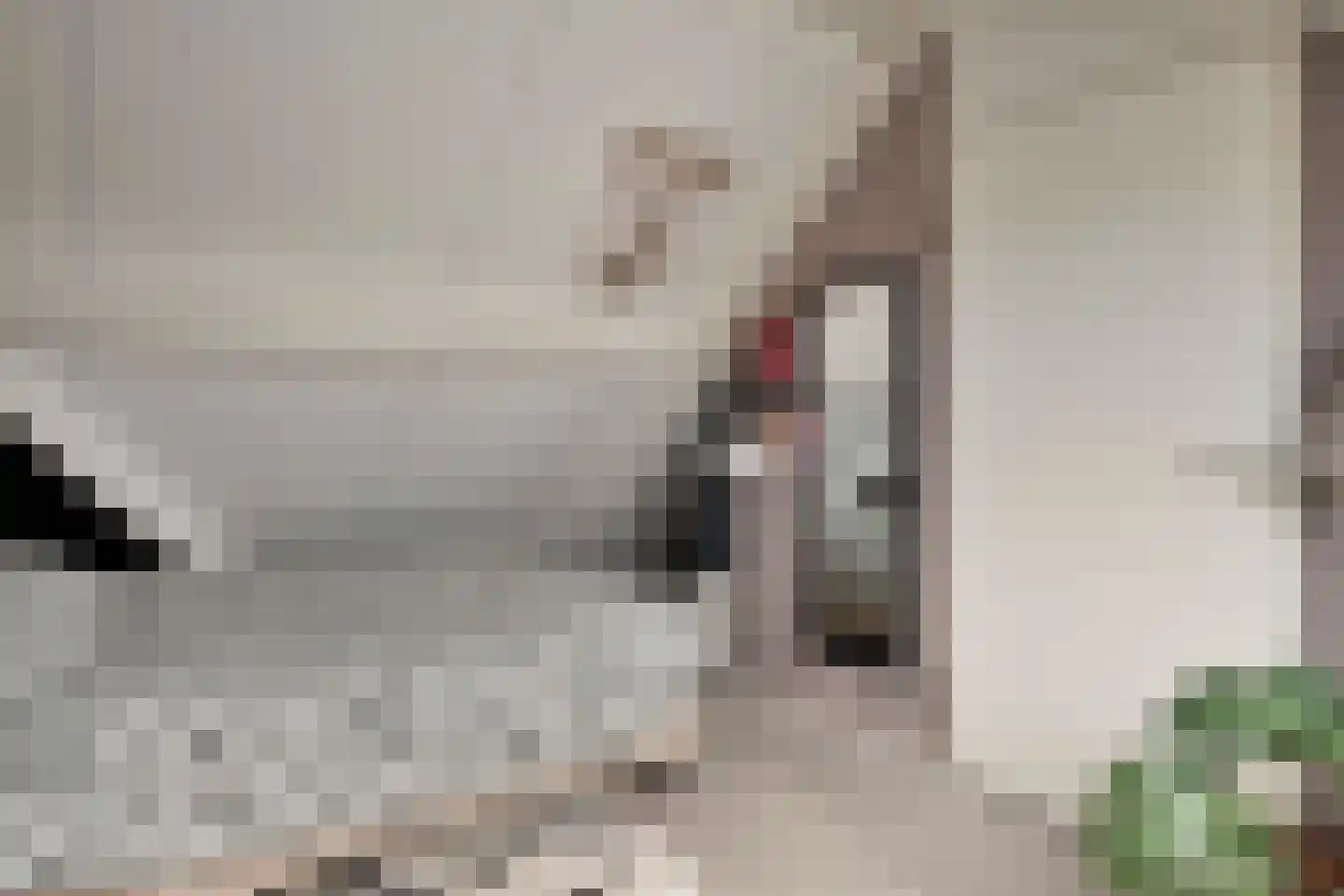 Weth. Vosstraat 94 Wanneperveen thumbnail 22