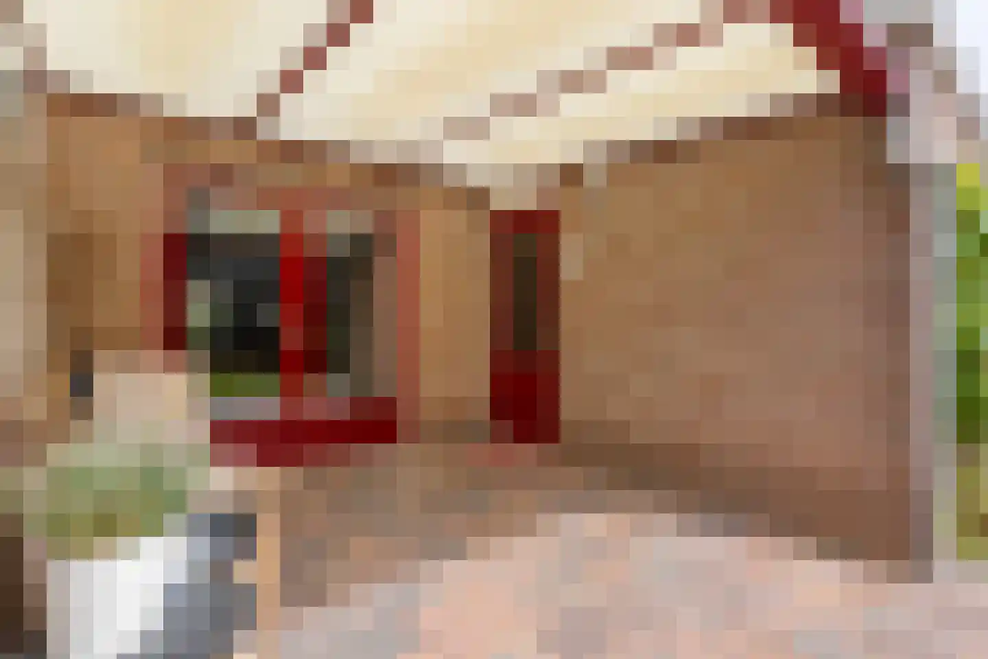 Weth. Vosstraat 94 Wanneperveen thumbnail 25