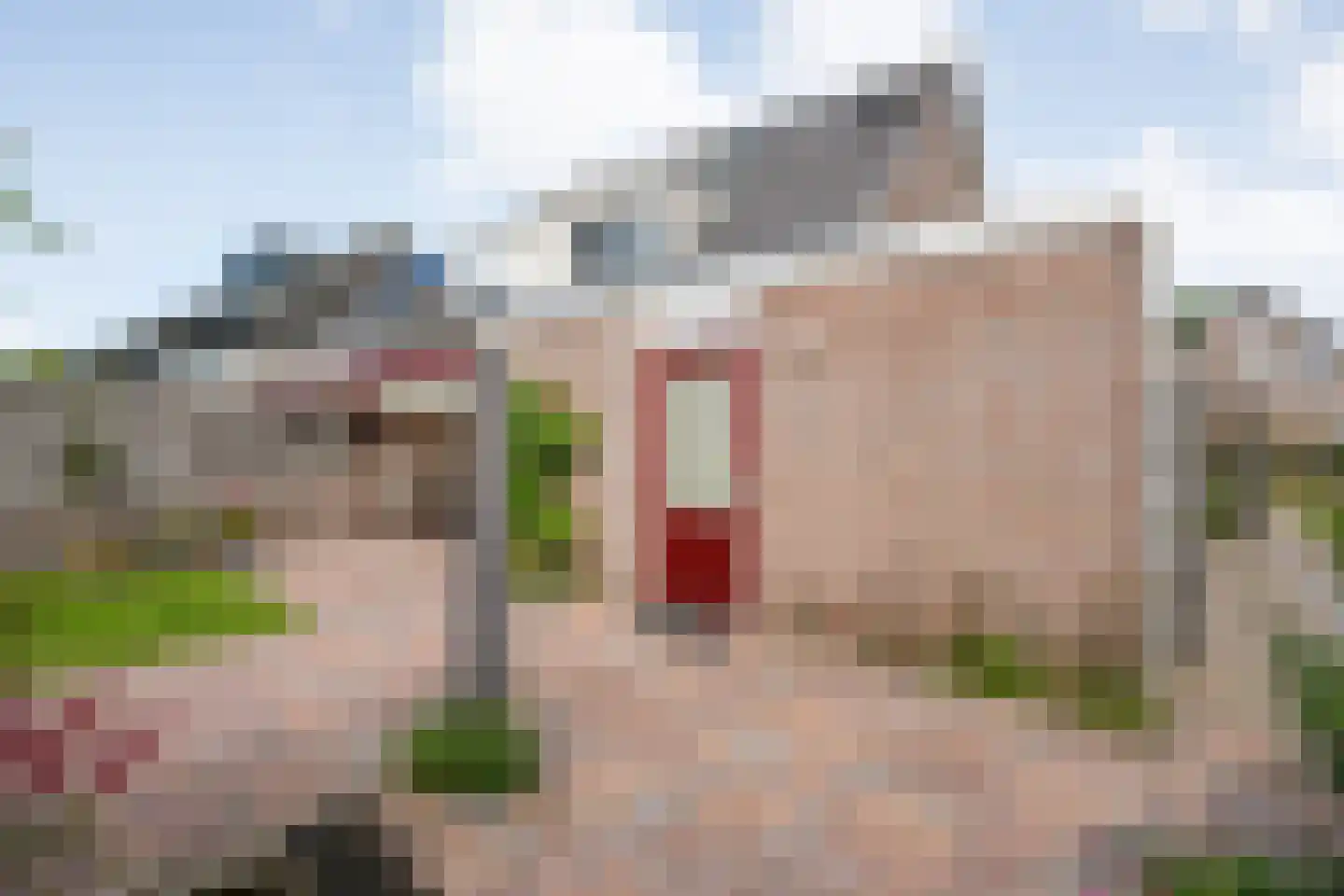 Weth. Vosstraat 94 Wanneperveen thumbnail 29