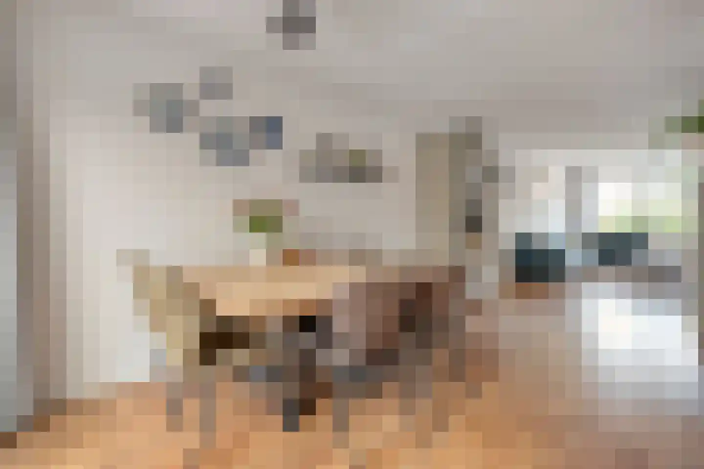 Weth. Vosstraat 94 Wanneperveen thumbnail 6