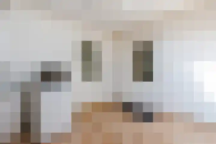 Weth.Zonnenbergstraat 6 Nieuwleusen thumbnail 12