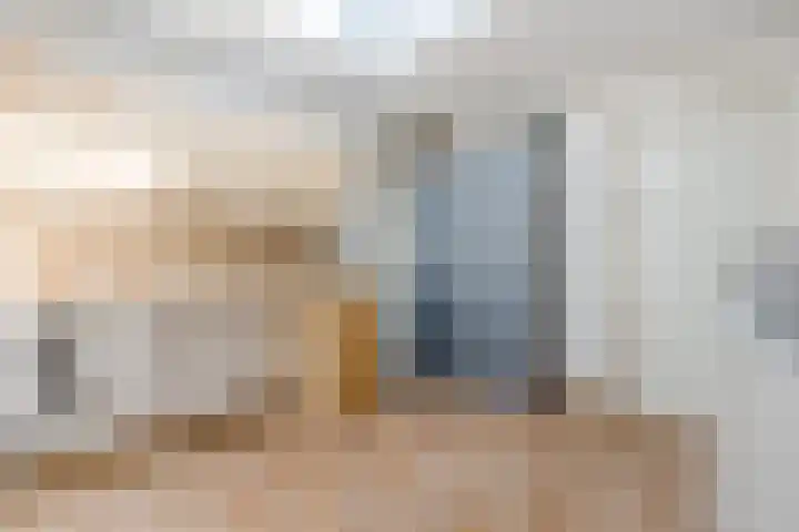 Weth.Zonnenbergstraat 6 Nieuwleusen thumbnail 13