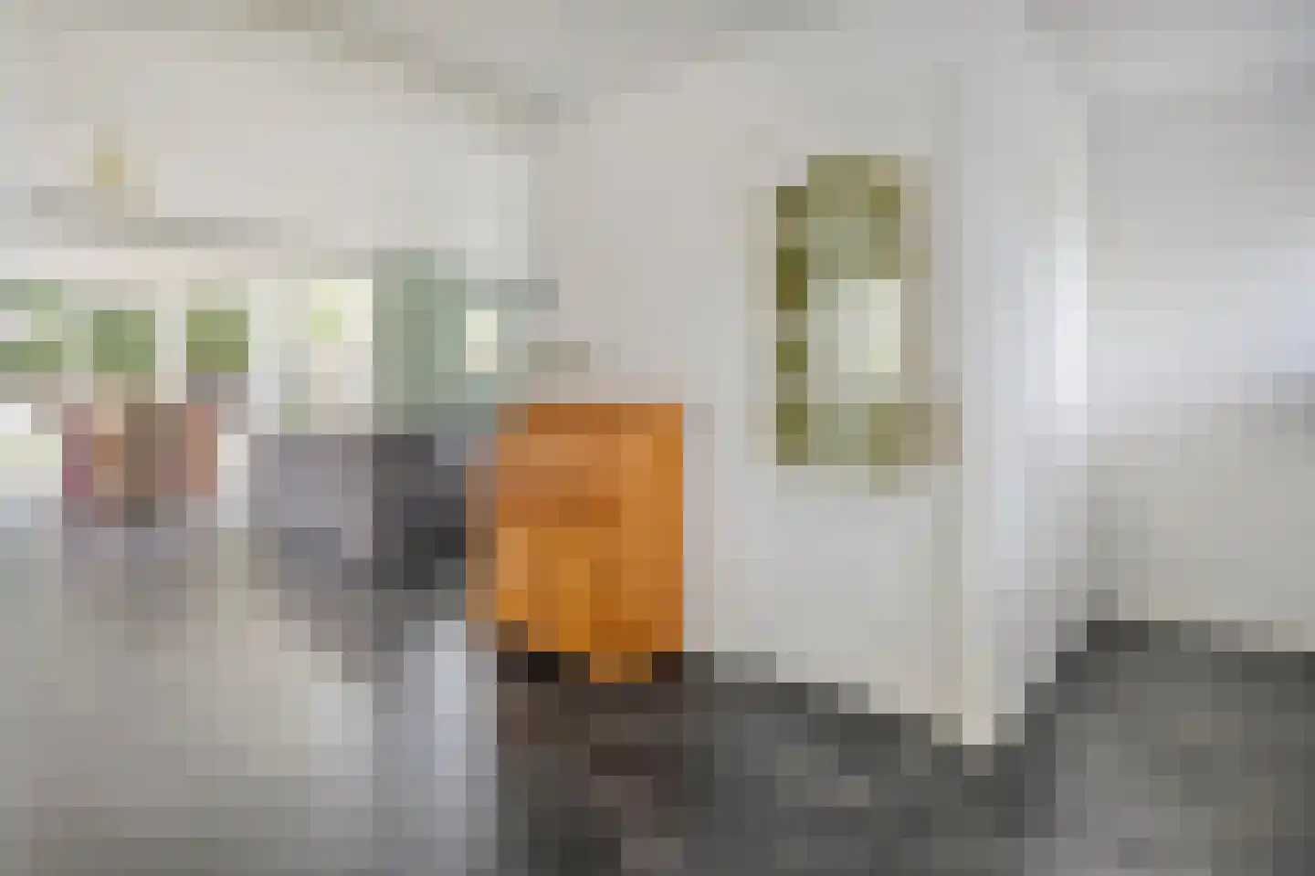 Weth.Zonnenbergstraat 6 Nieuwleusen thumbnail 14
