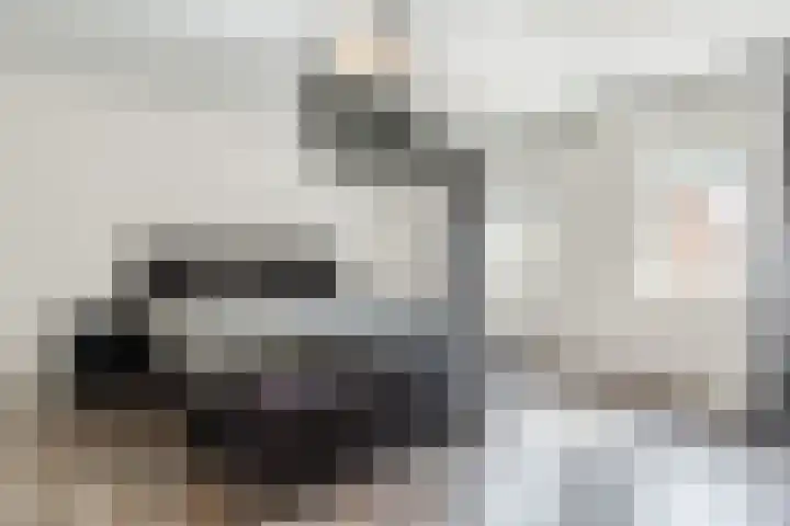 Weth.Zonnenbergstraat 6 Nieuwleusen thumbnail 14