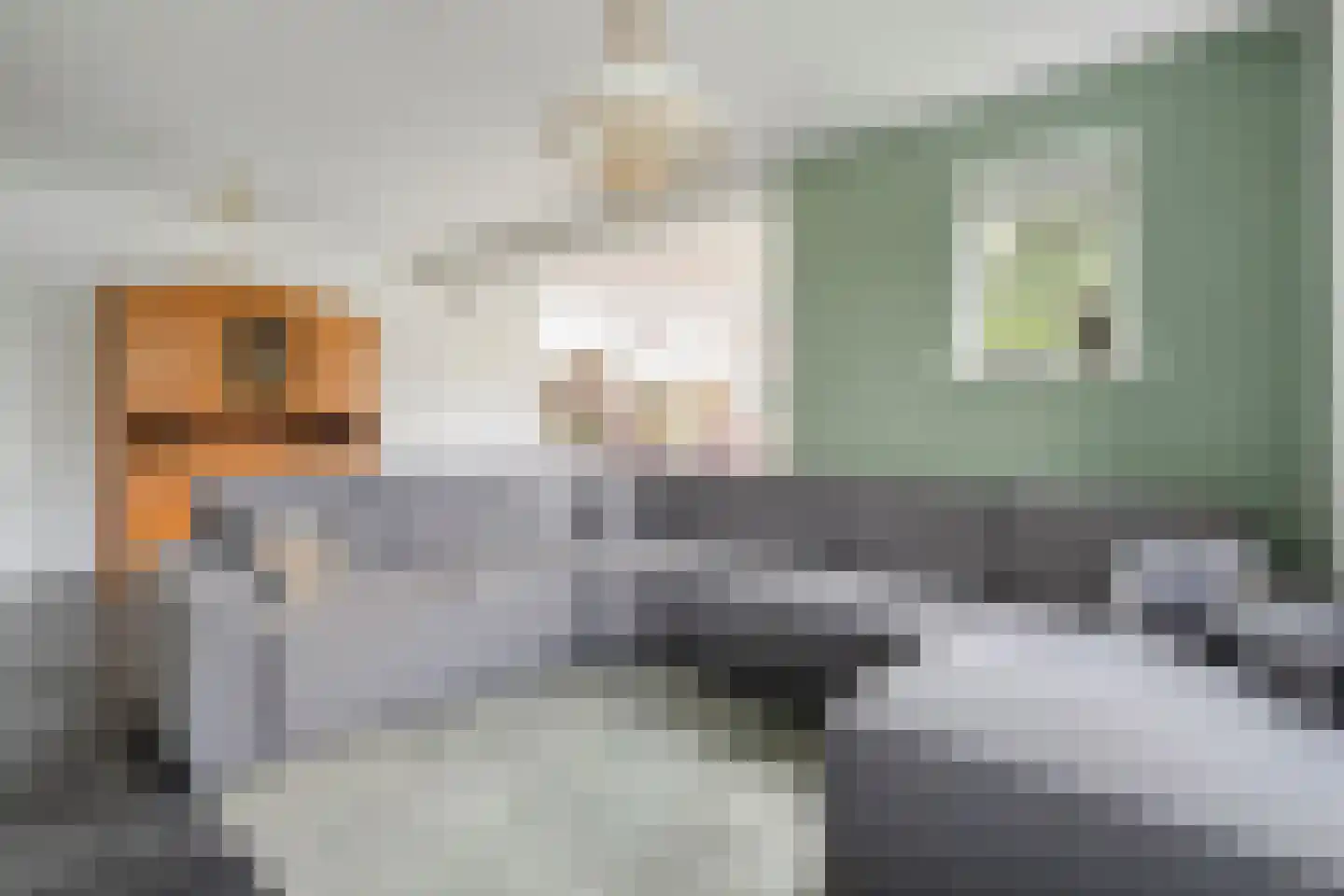Weth.Zonnenbergstraat 6 Nieuwleusen thumbnail 15