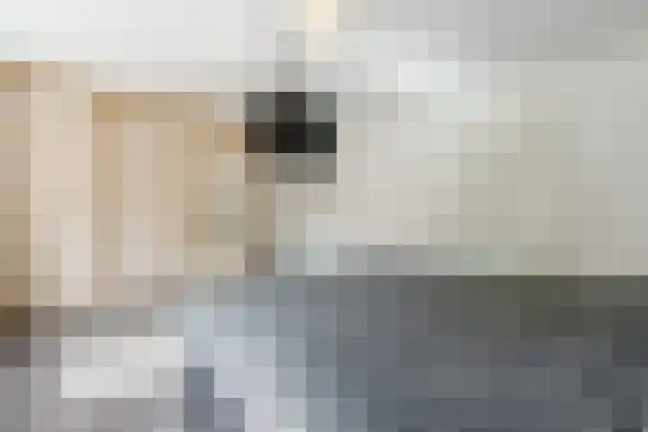 Weth.Zonnenbergstraat 6 Nieuwleusen thumbnail 15