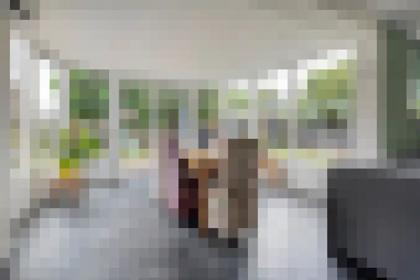 Weth.Zonnenbergstraat 6 Nieuwleusen thumbnail 16