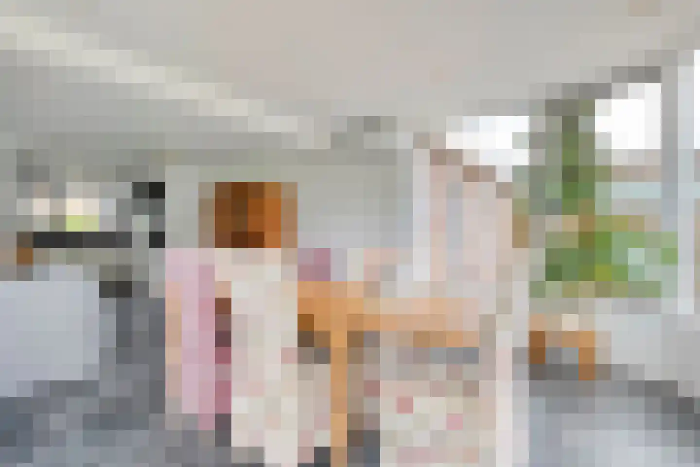 Weth.Zonnenbergstraat 6 Nieuwleusen thumbnail 17