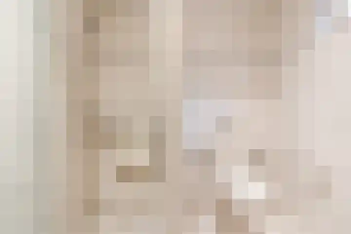 Weth.Zonnenbergstraat 6 Nieuwleusen thumbnail 17