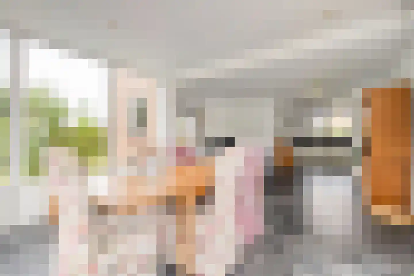 Weth.Zonnenbergstraat 6 Nieuwleusen thumbnail 18