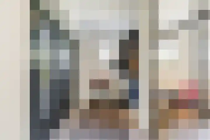 Weth.Zonnenbergstraat 6 Nieuwleusen thumbnail 18