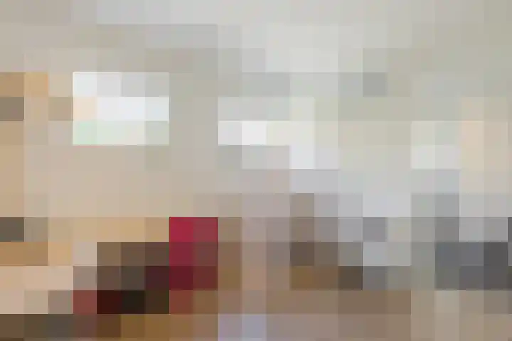 Weth.Zonnenbergstraat 6 Nieuwleusen thumbnail 19