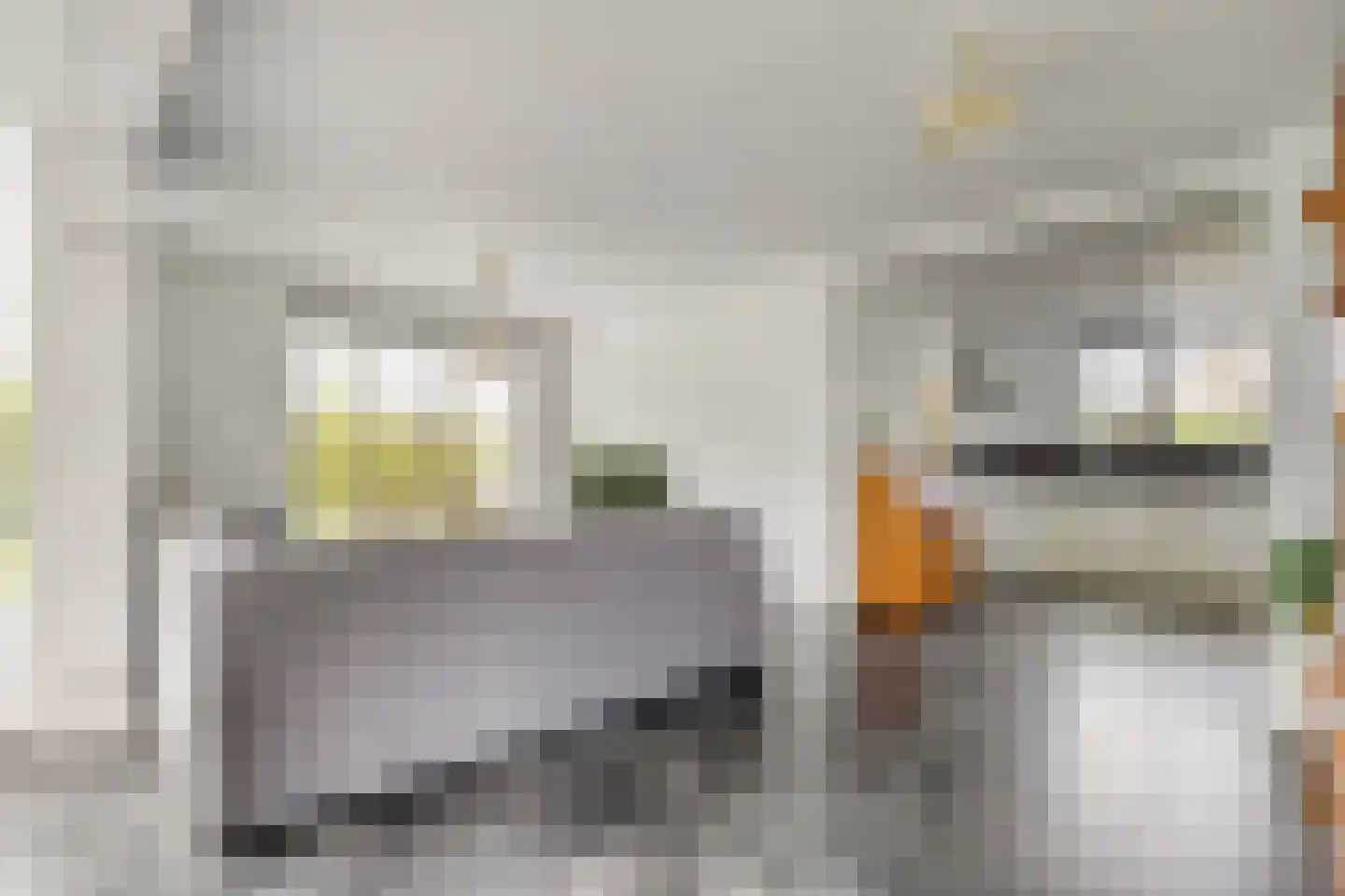 Weth.Zonnenbergstraat 6 Nieuwleusen thumbnail 20