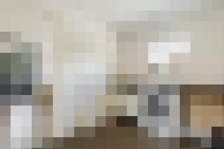 Weth.Zonnenbergstraat 6 Nieuwleusen thumbnail 21