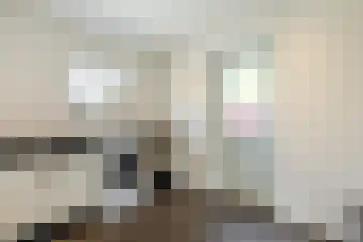 Weth.Zonnenbergstraat 6 Nieuwleusen thumbnail 22
