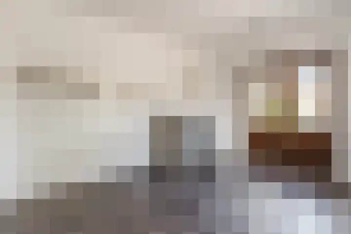 Weth.Zonnenbergstraat 6 Nieuwleusen thumbnail 23
