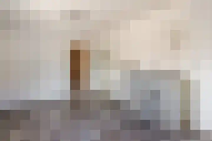 Weth.Zonnenbergstraat 6 Nieuwleusen thumbnail 24