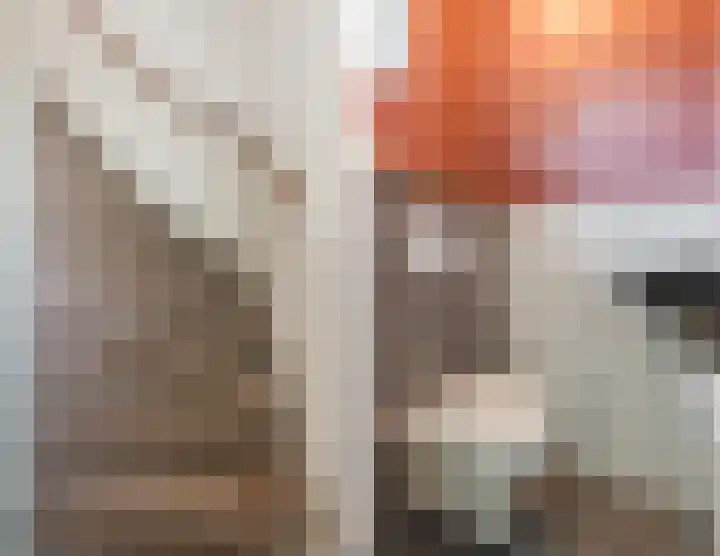 Weth.Zonnenbergstraat 6 Nieuwleusen thumbnail 25
