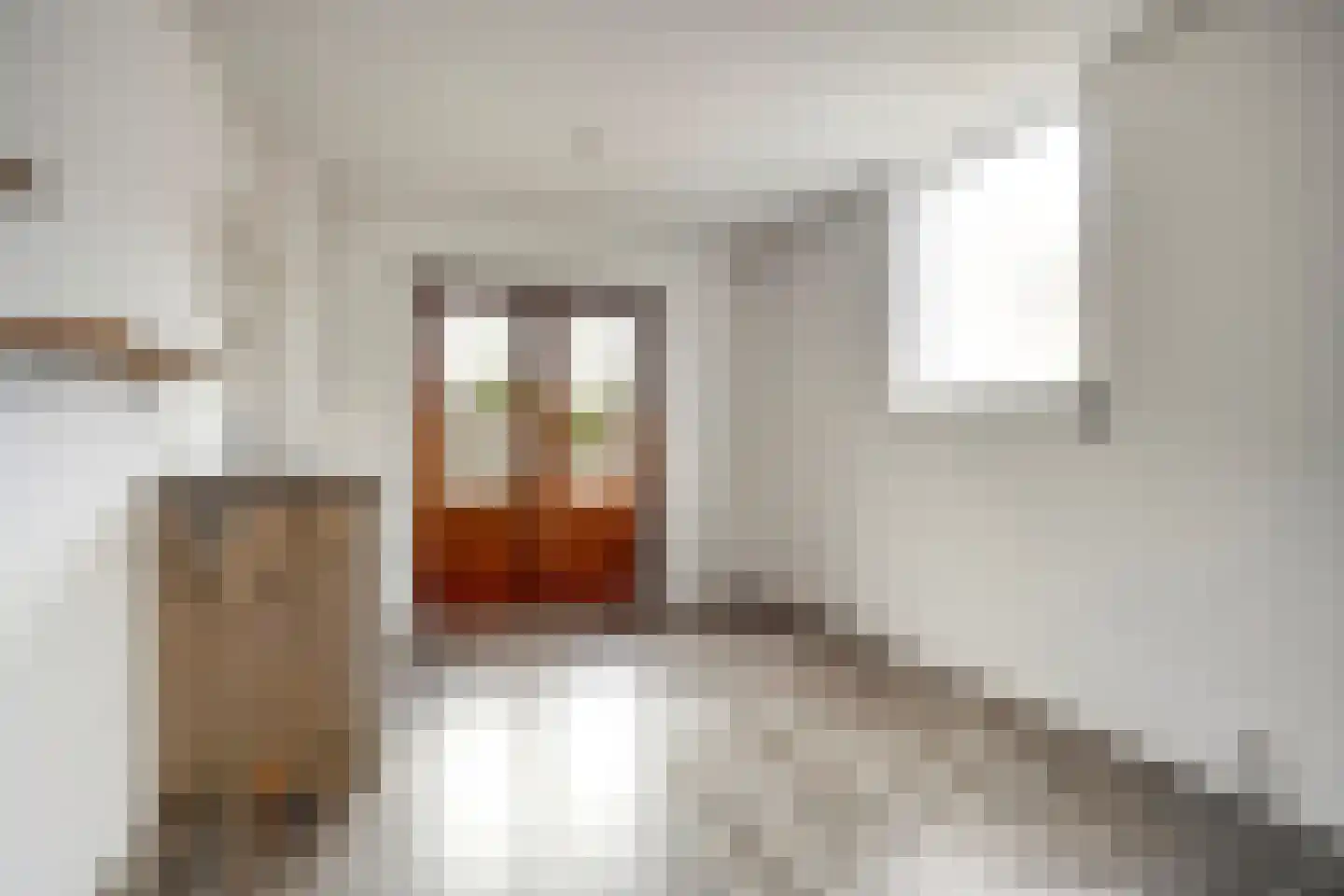 Weth.Zonnenbergstraat 6 Nieuwleusen thumbnail 25
